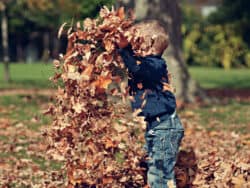 Young boy playing in leaves at Juniors Day Nursery.