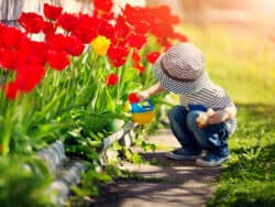 Young child watering the garden at Juniors Day Nursery.