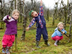 Three pre-school children playing in the apple orchard.