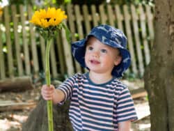 Young child with sunflower in the garden at Juniors Day Nursery.