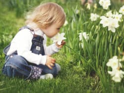 Baby smelling the flowers in the garden at Juniors Day Nursery.